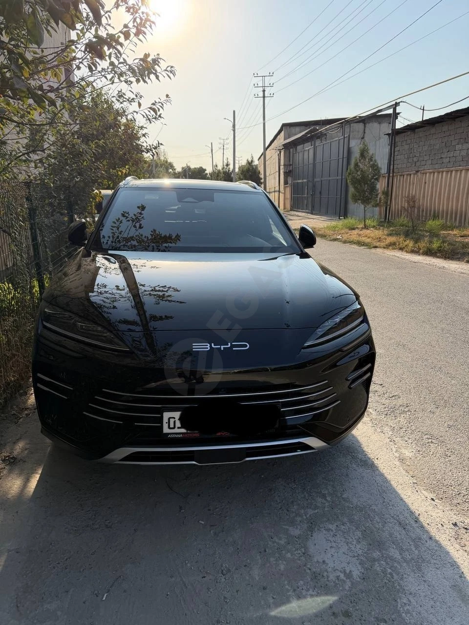 BYD Champion 2024 - Cover Photo