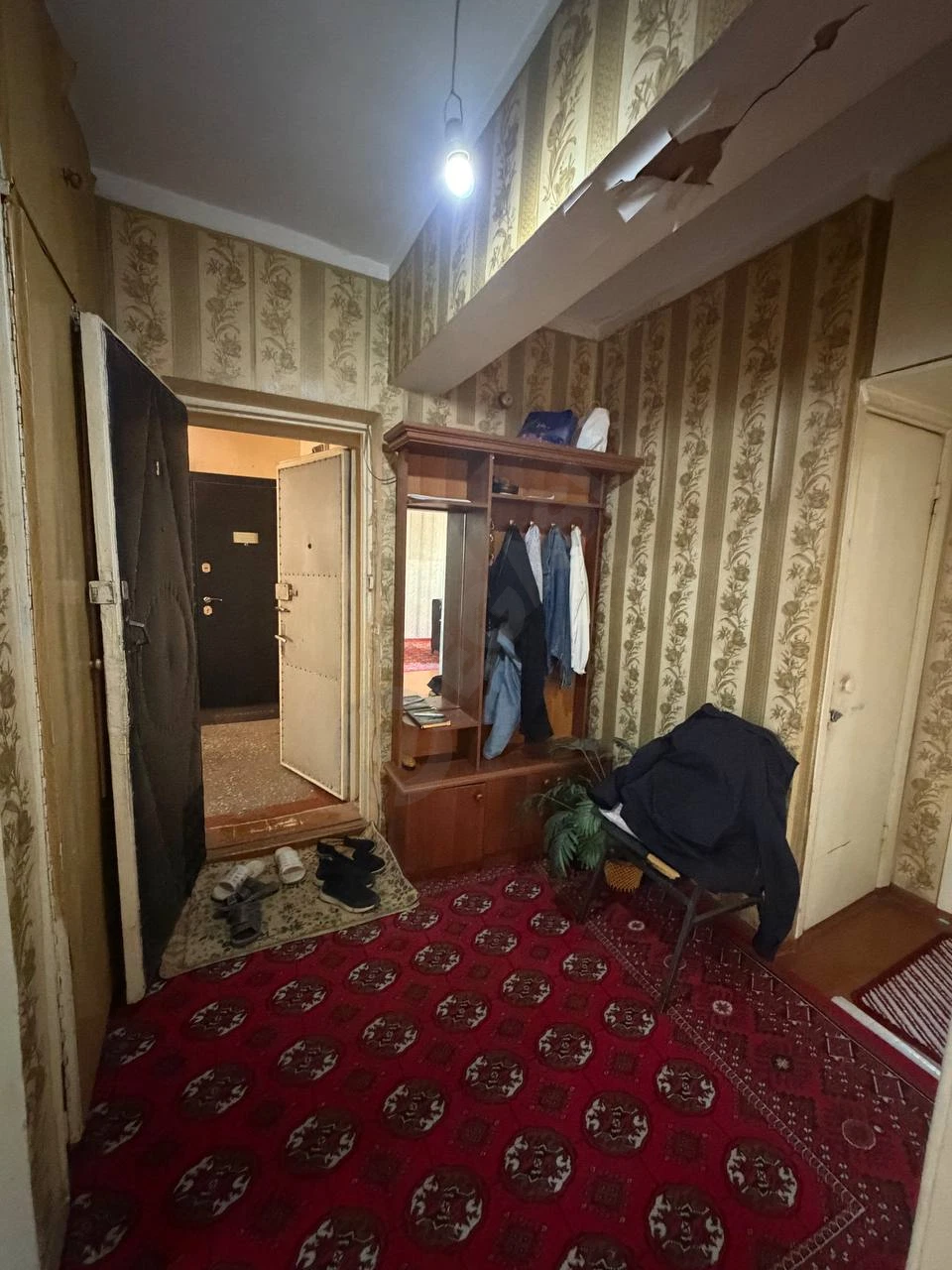 Image 4
