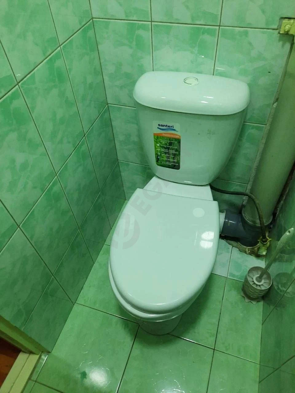 Image 8