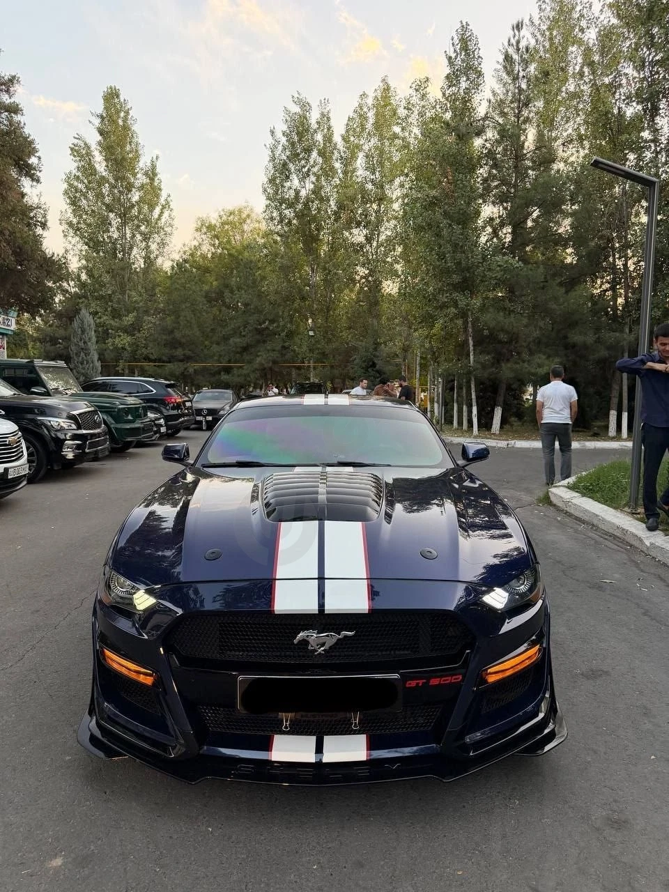 Ford Mustang Shelby 2.3 EcoBoost 2020 - Cover Photo