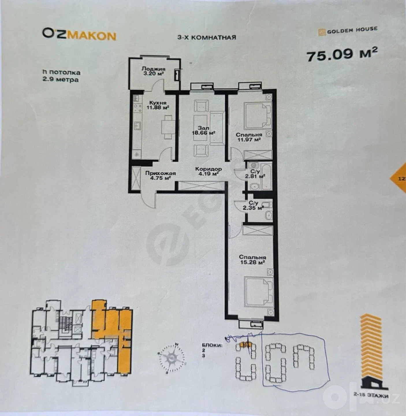 Image 2