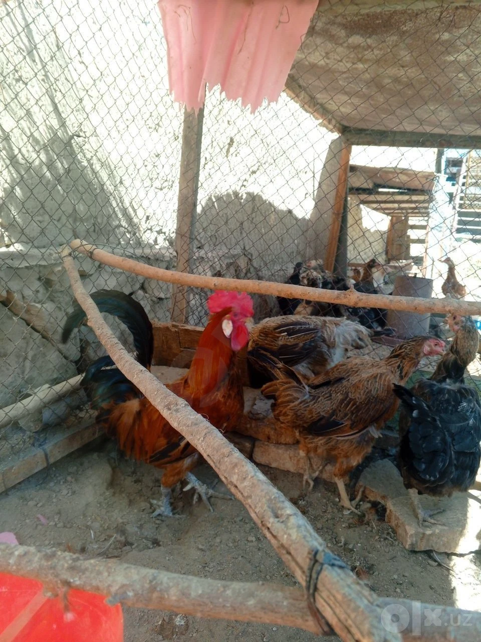 Image 3