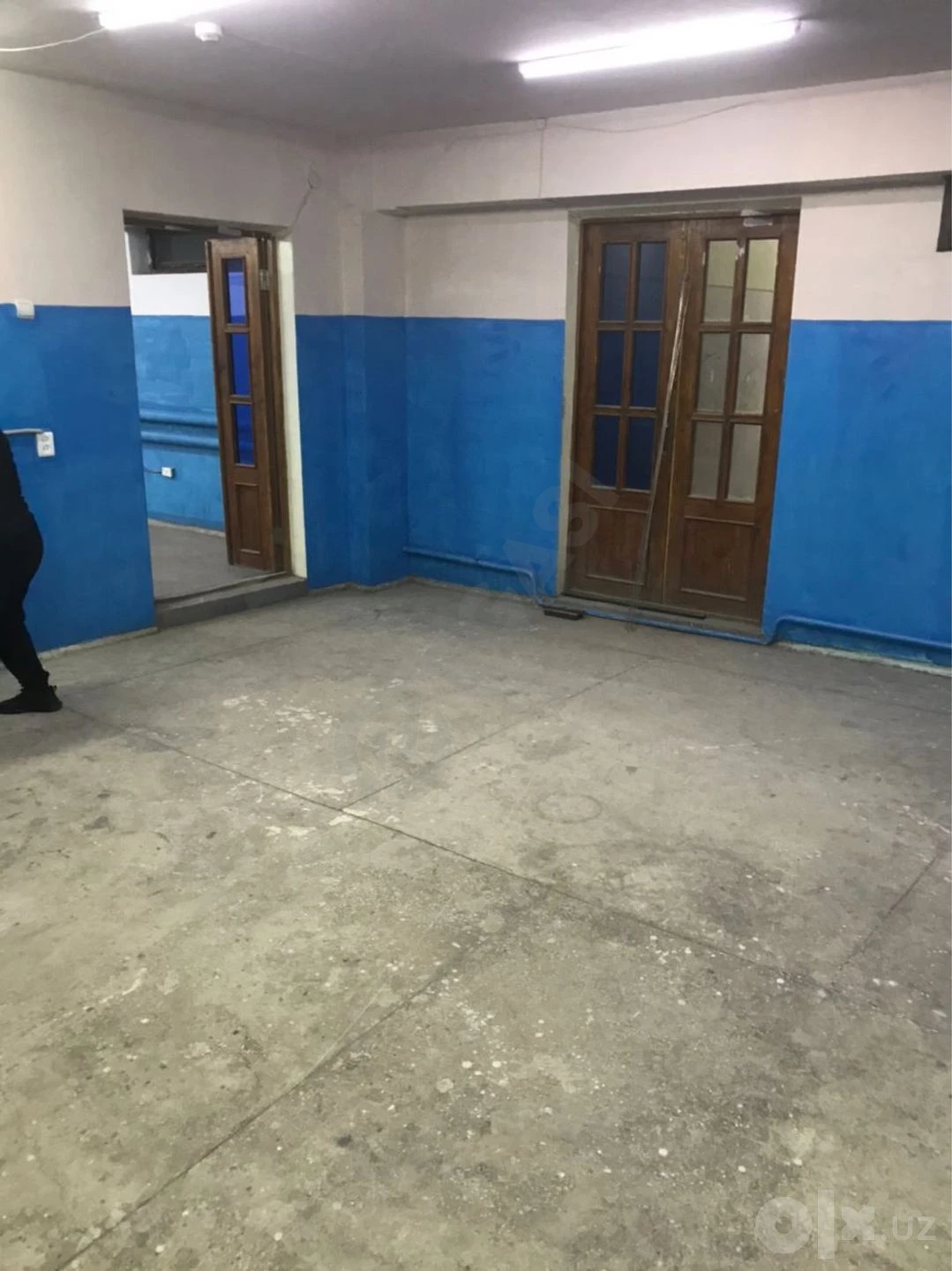 Image 12