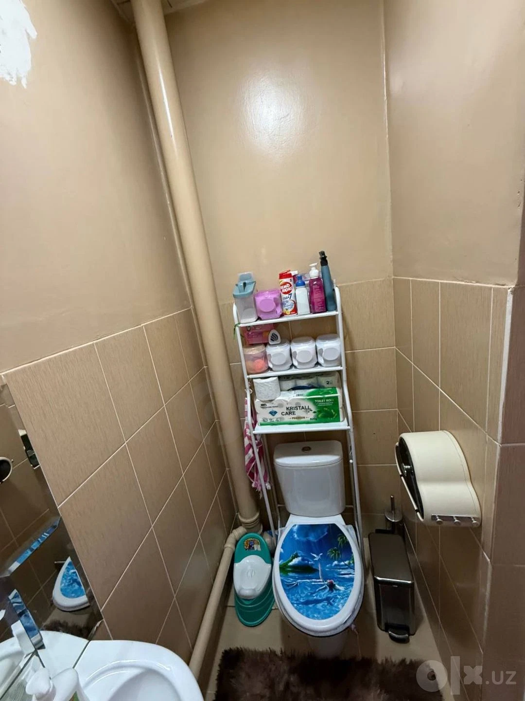 Image 8
