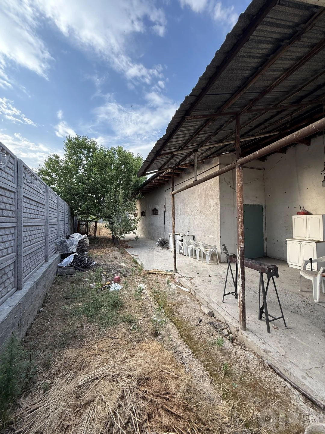 Image 12
