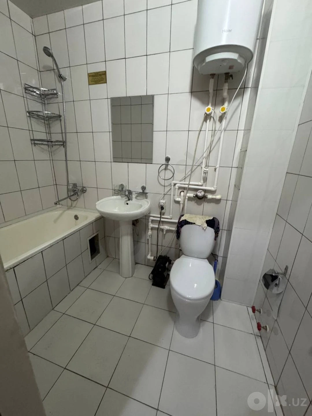 Image 6