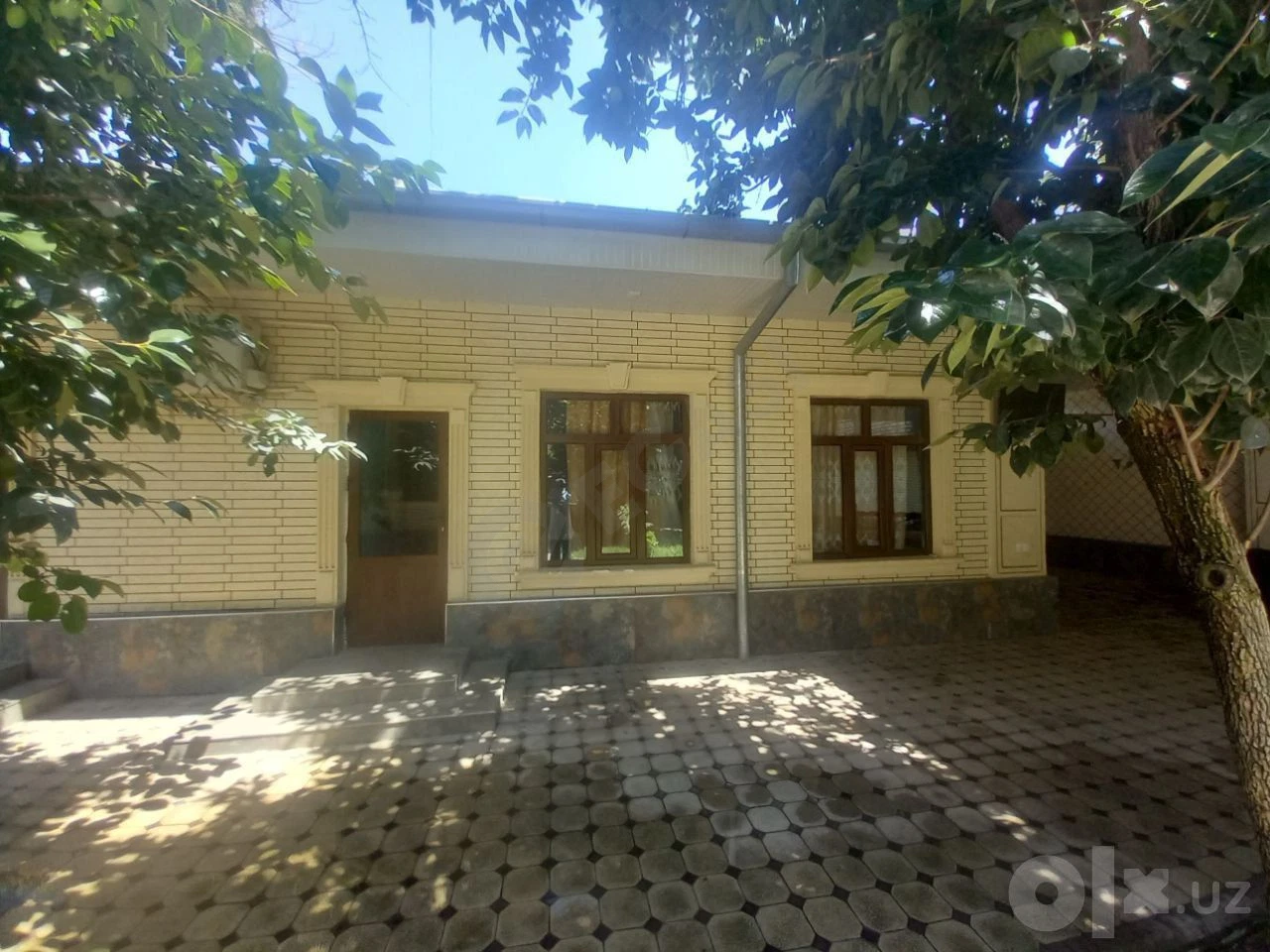 Image 8
