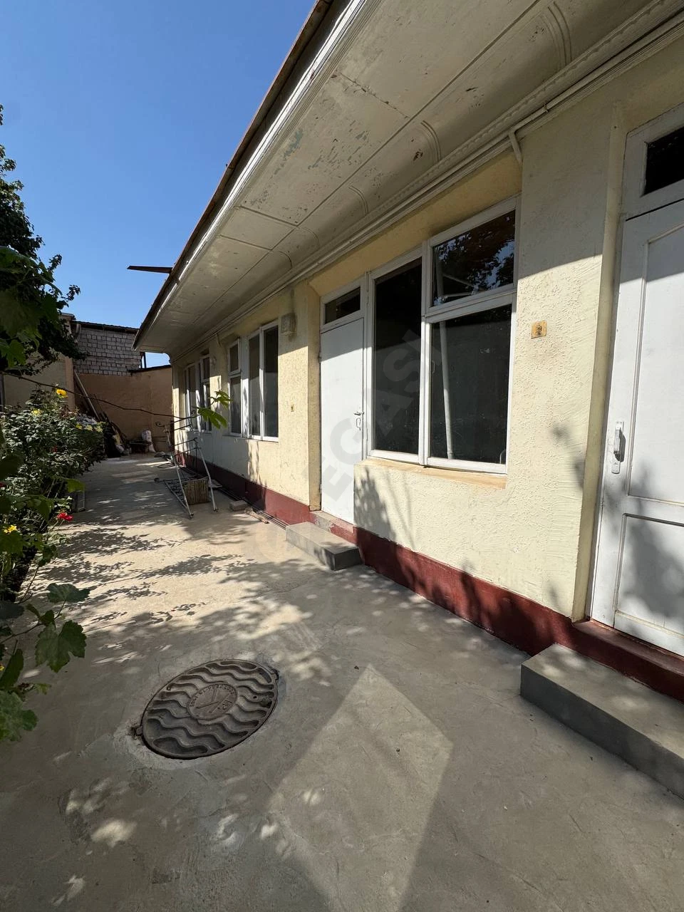 Image 5