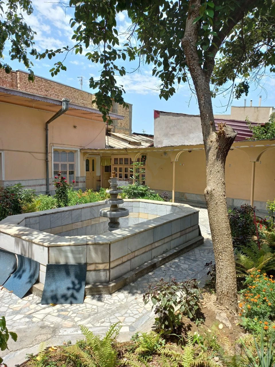 Image 7