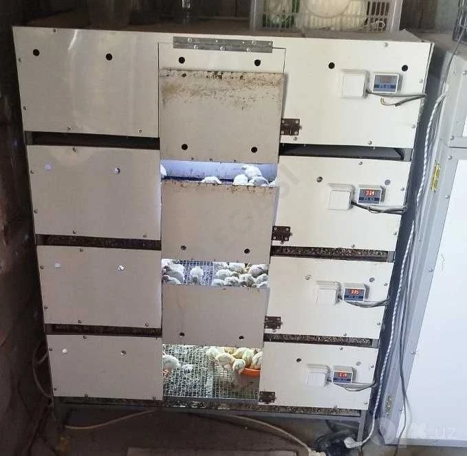 Image 4
