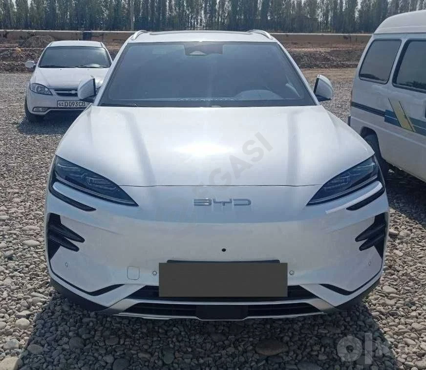 BYD Champion 2023 - Cover Photo