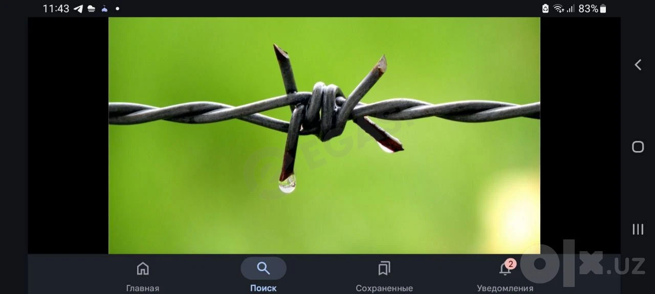 Тиконлий симлар бор - Cover Photo