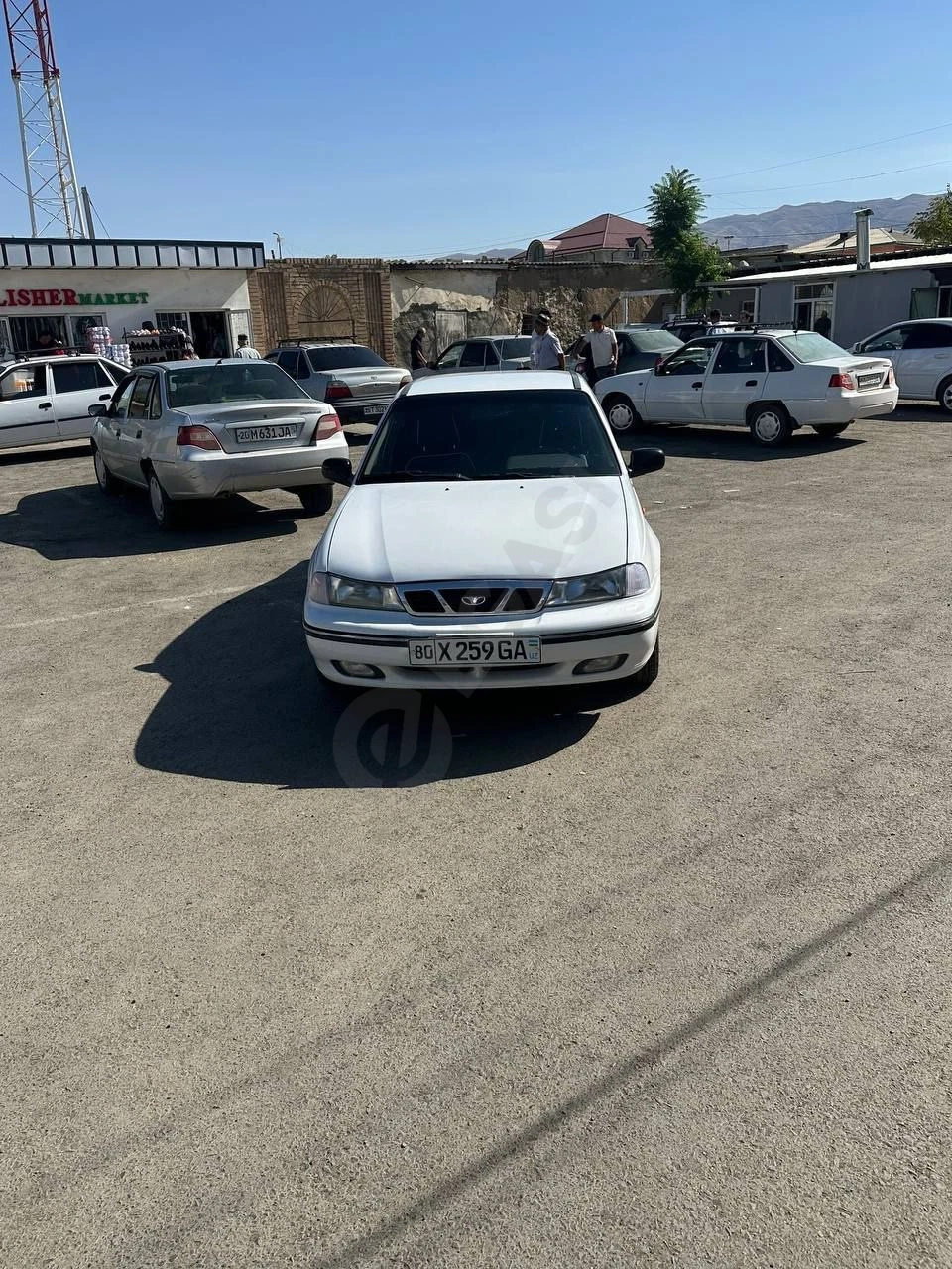 Image 7