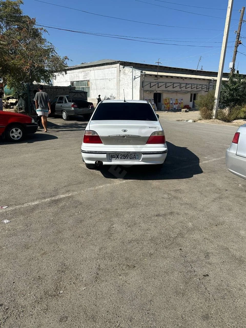 Image 8