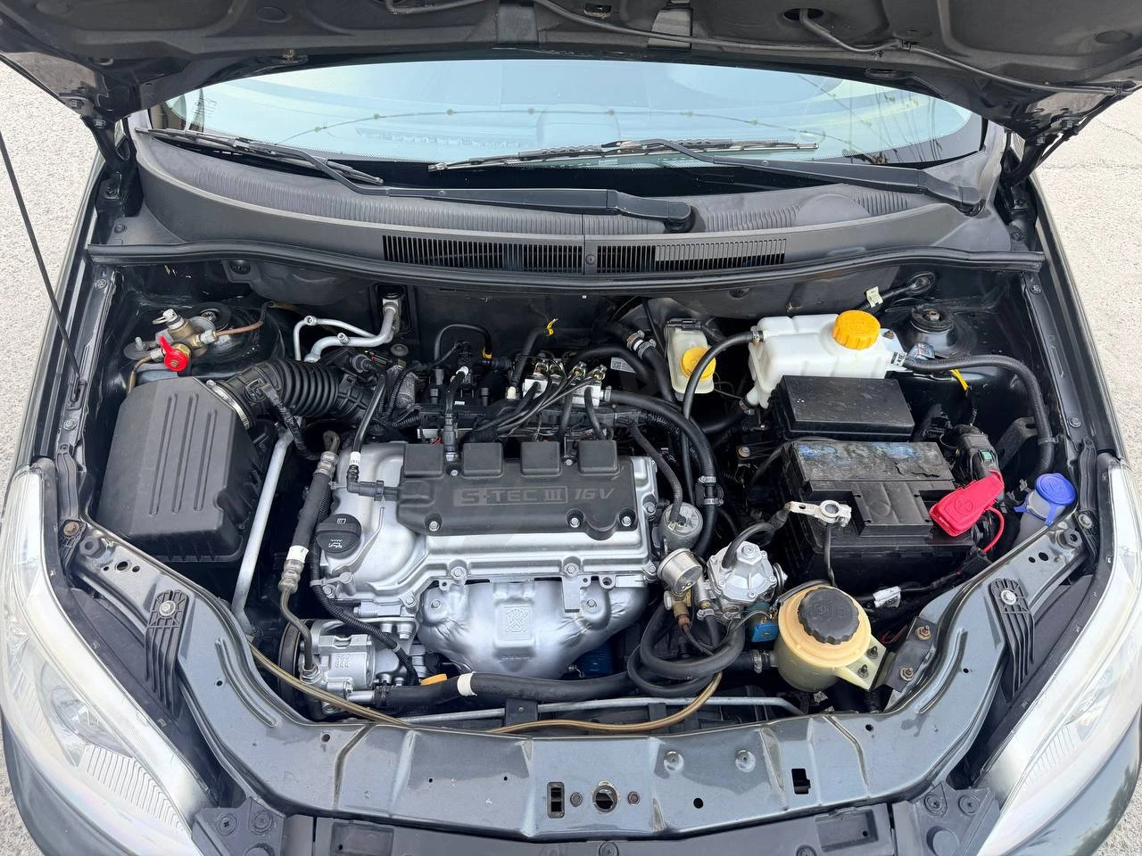 Image 8