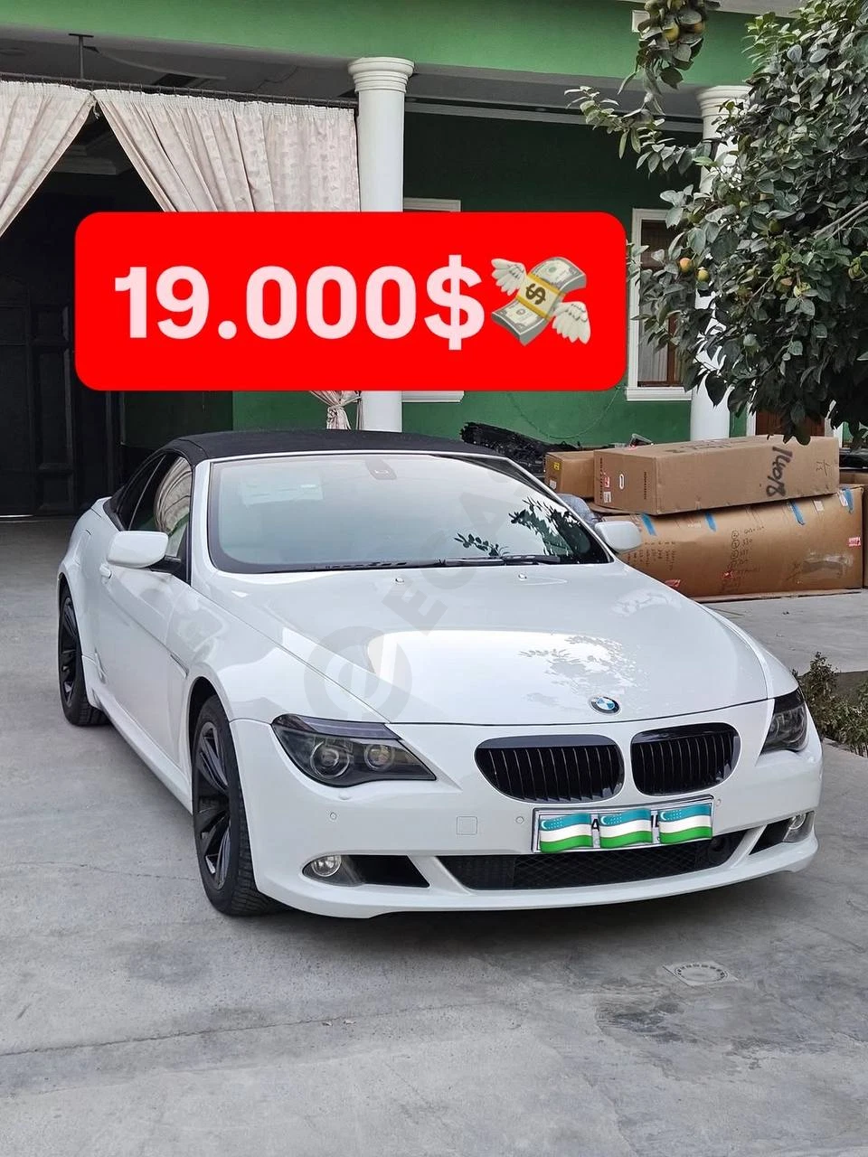 BMW 650i Cabriolet 2008 - Cover Photo