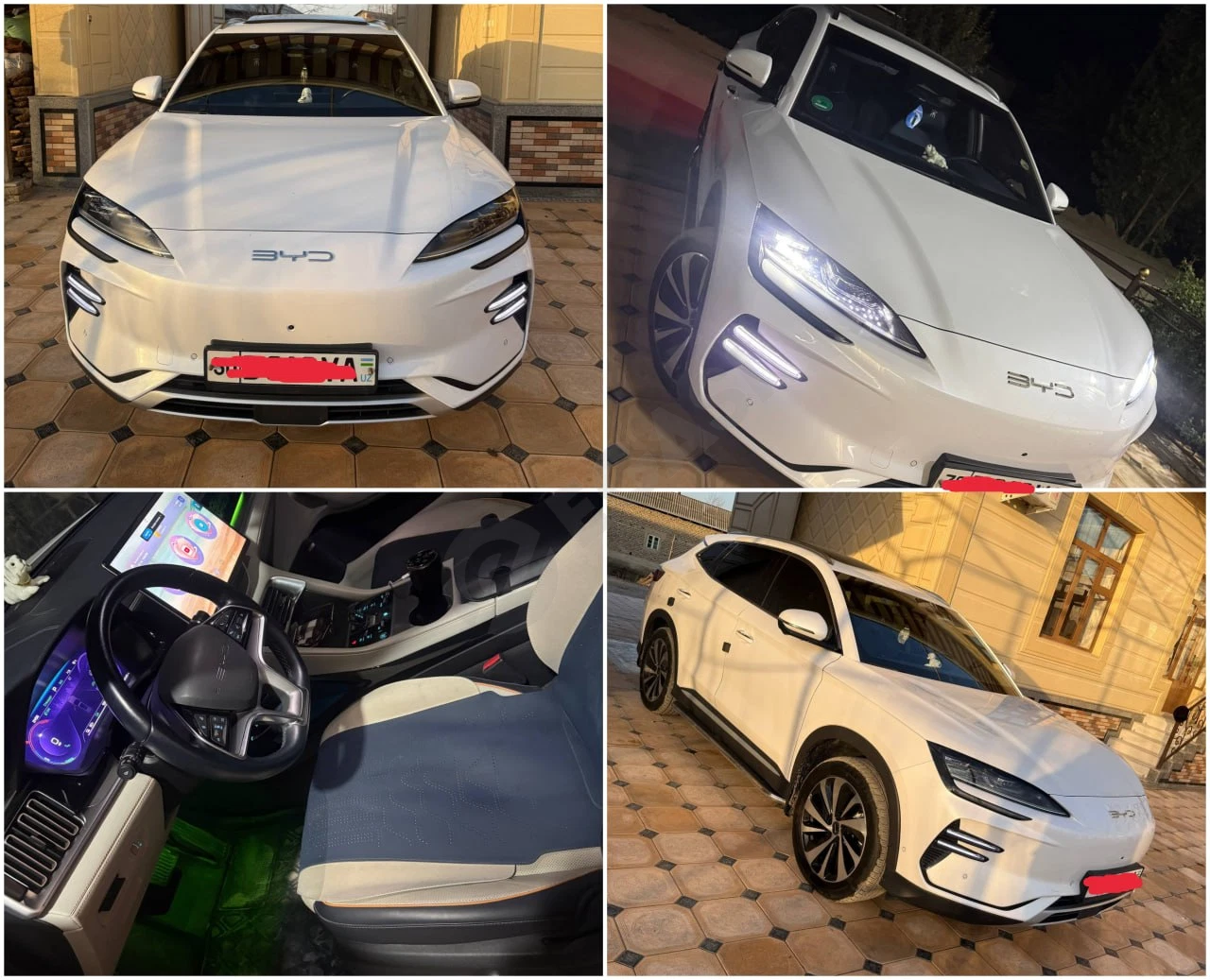 BYD Champion Plus 2023 - Cover Photo