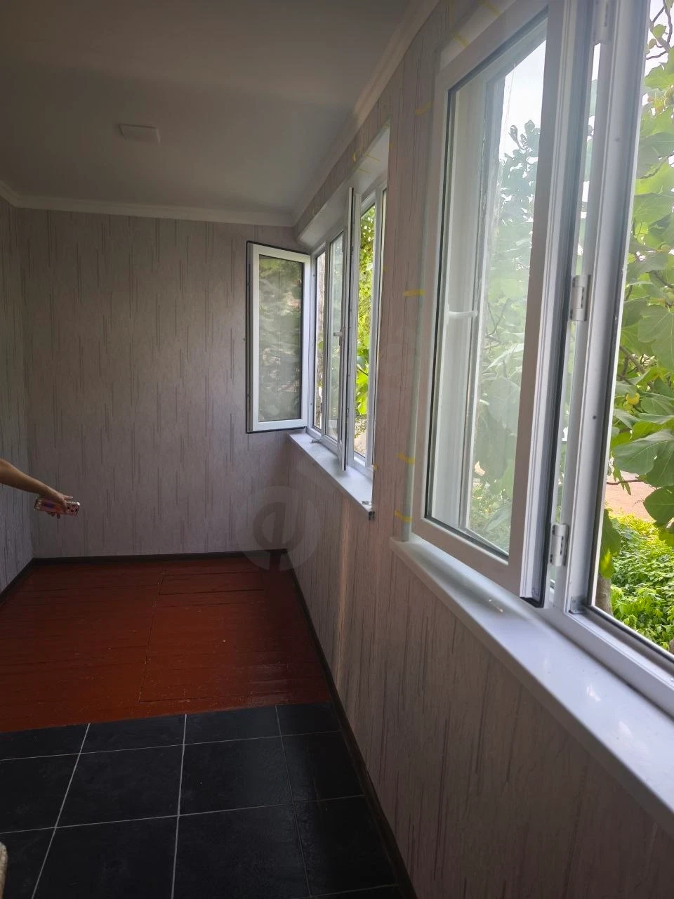 Image 4