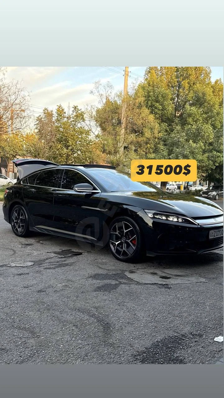 BYD XAN 2024 - Cover Photo