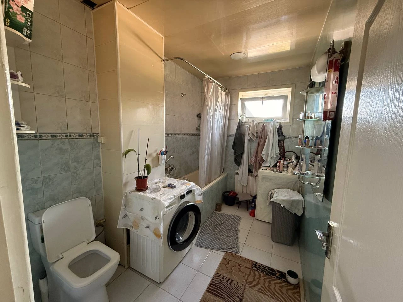 Image 7