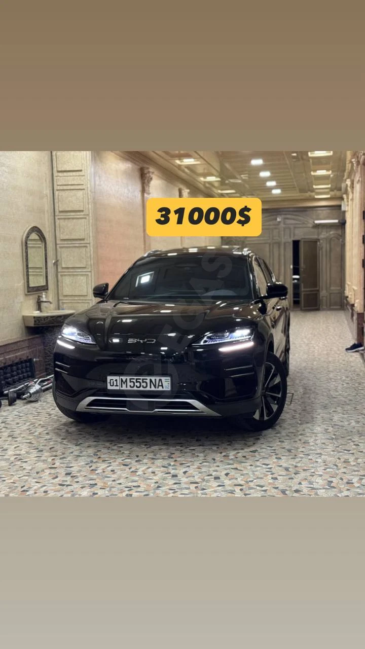 BYD Champion Smart 2025 - Cover Photo