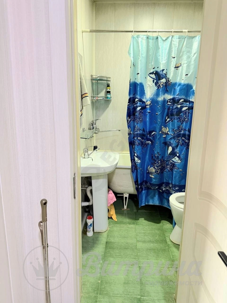 Image 5