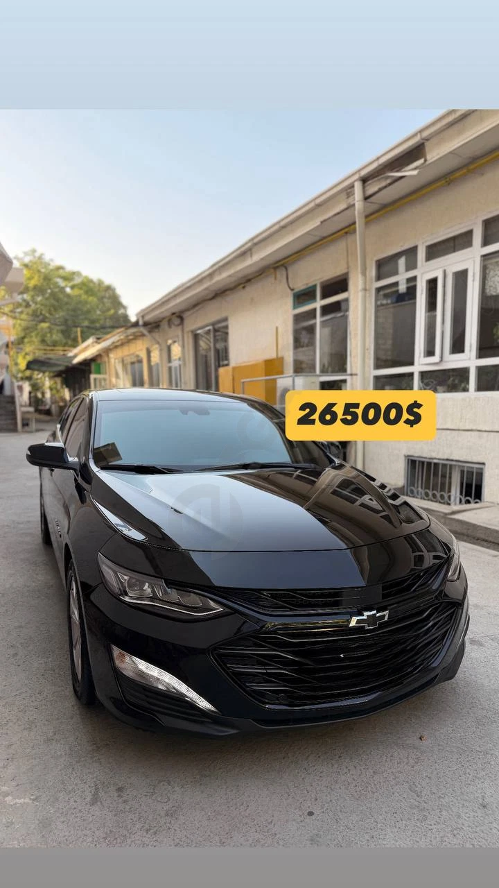 Malibu2 XL 2023 - Cover Photo