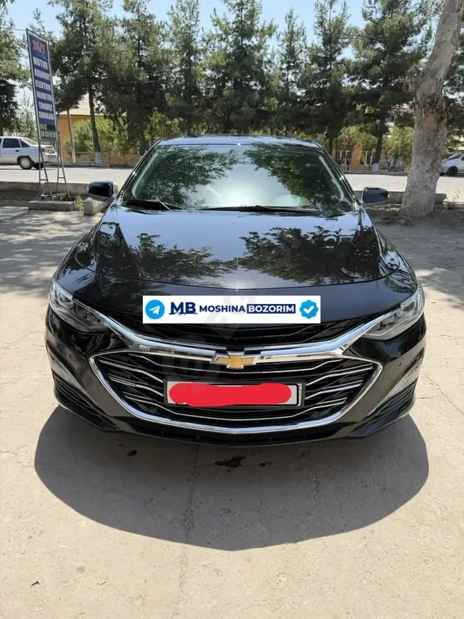 Malibu 2 Premier 2022 - Cover Photo