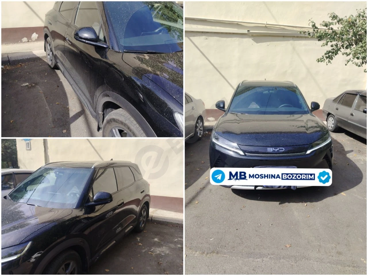 BYD Yuan Up DM-i 2026 - Cover Photo