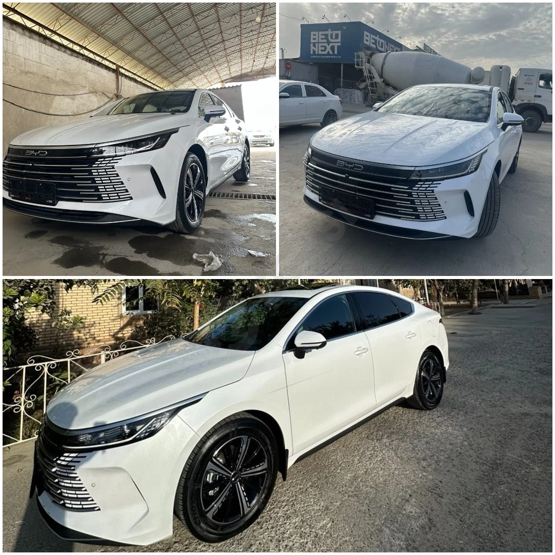 BYD Chazor 2024 - Cover Photo