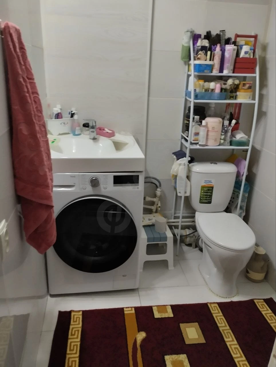 Image 5