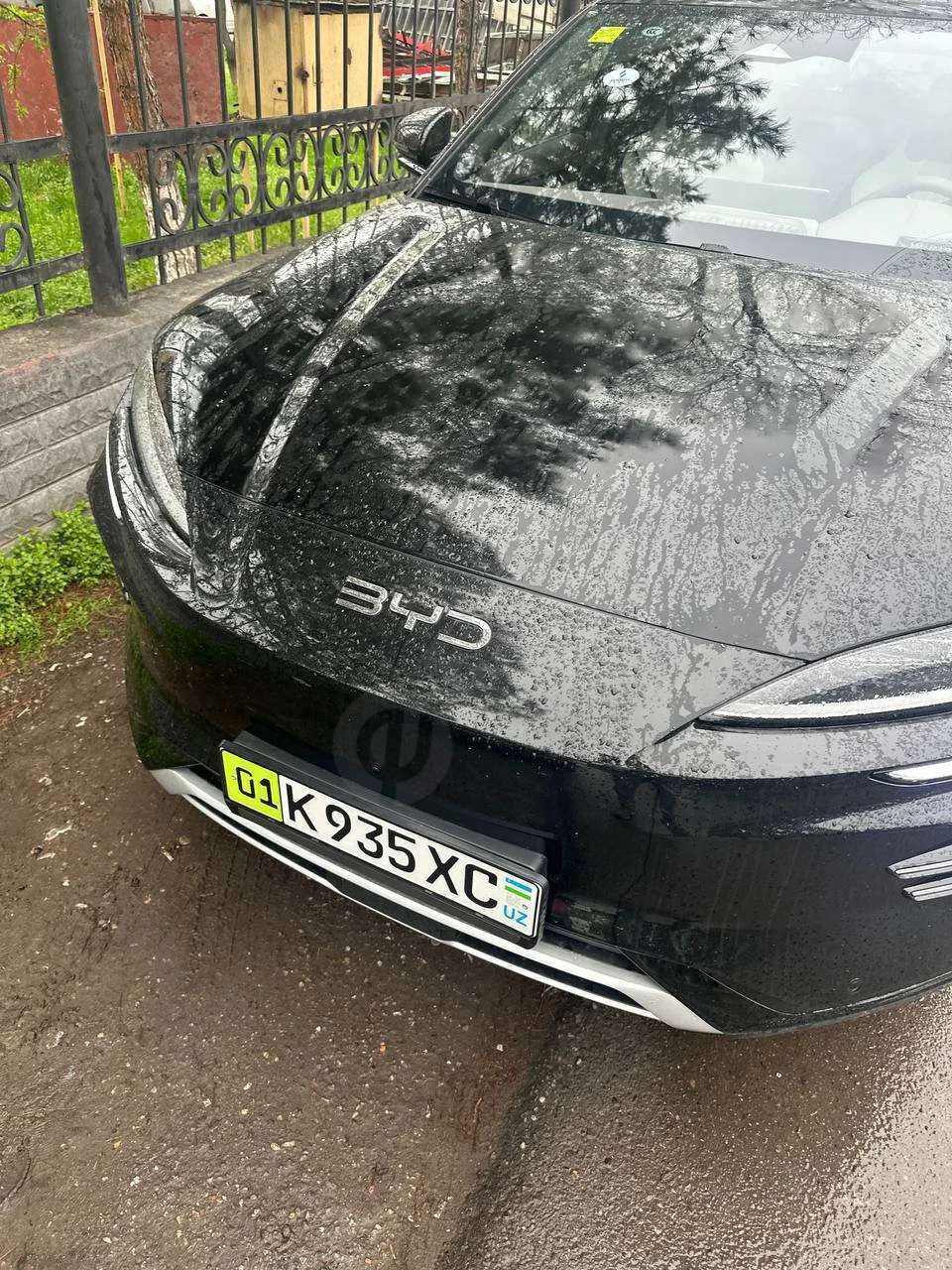 BYD Song Plus EV Champion 2025 - Cover Photo
