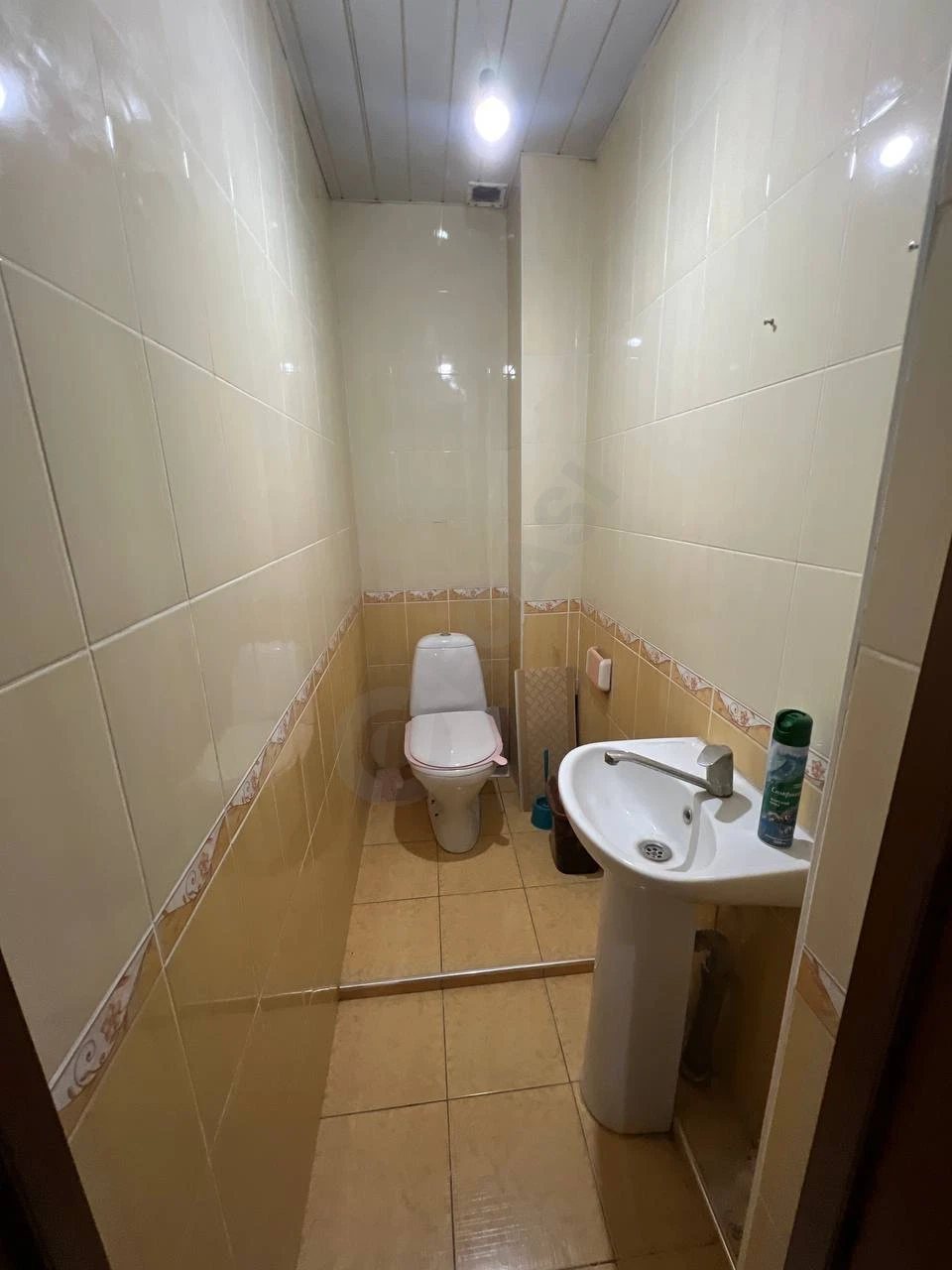 Image 6