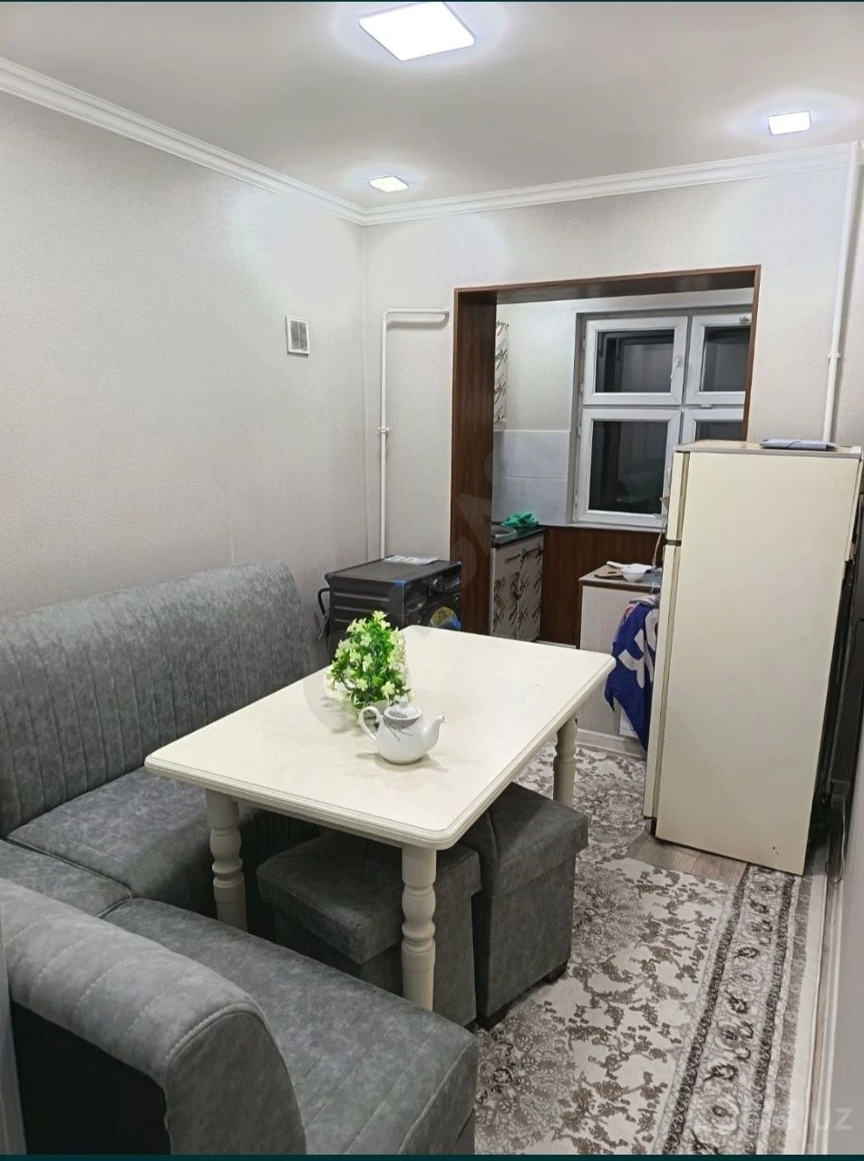 Image 5