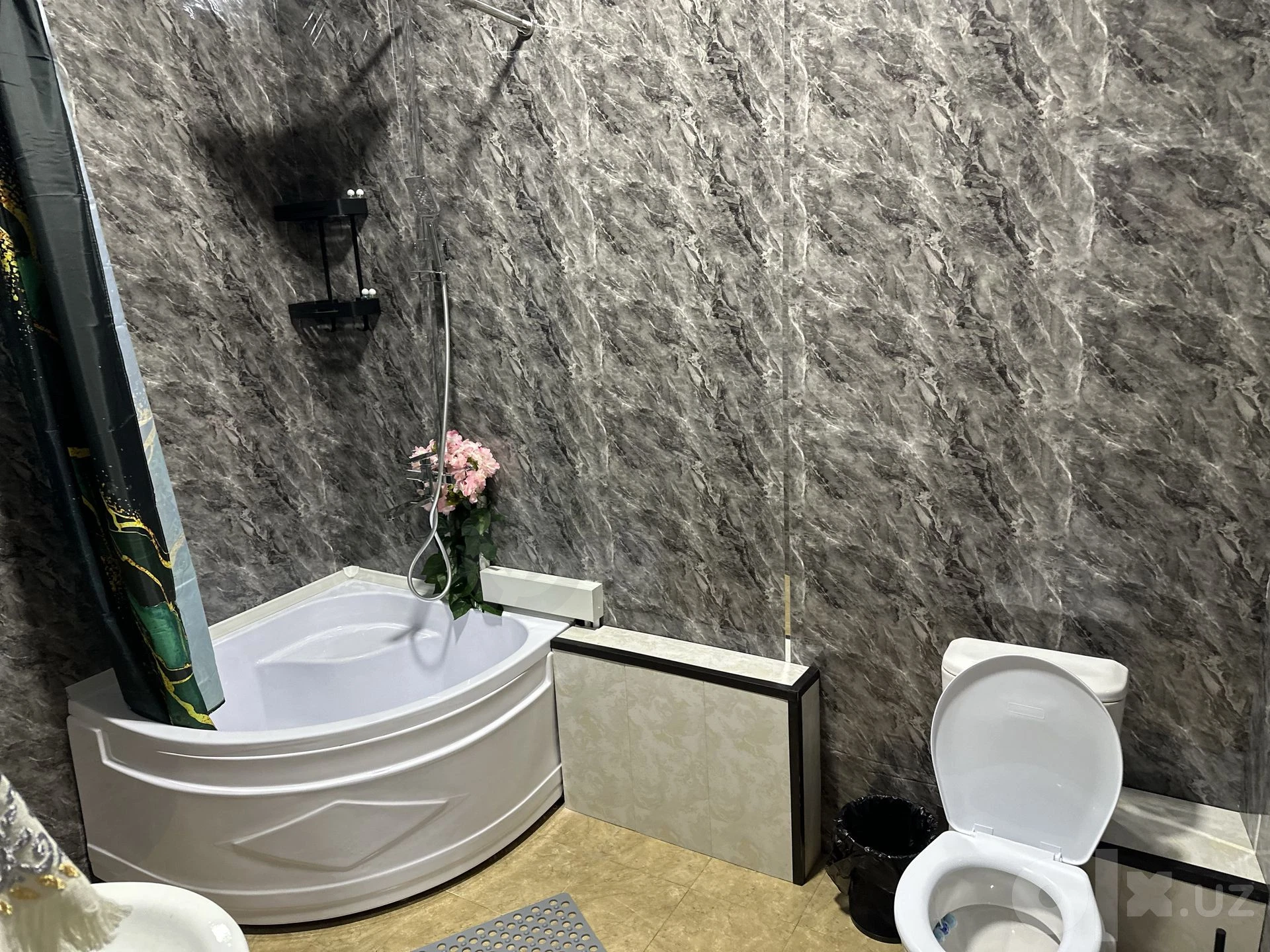 Image 5