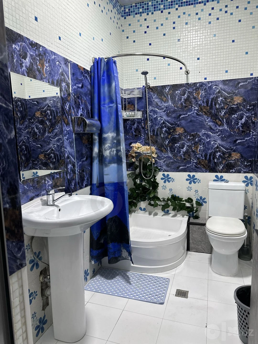Image 6