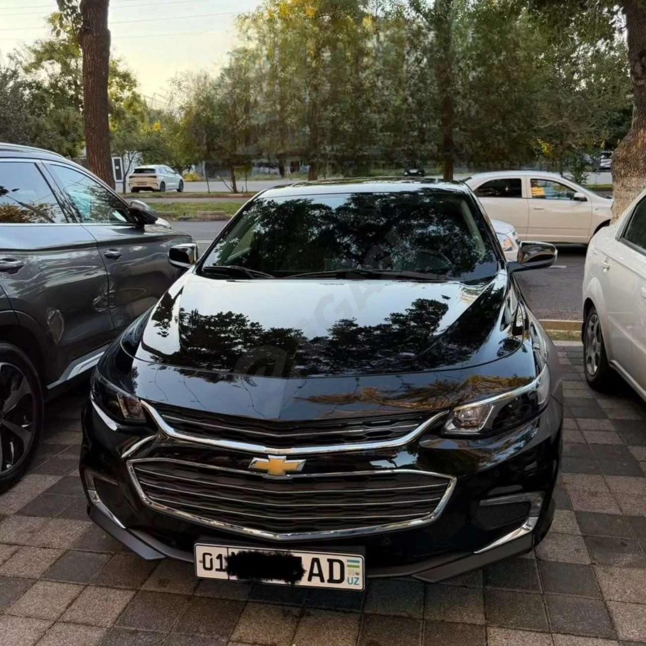Chevrolet Malibu 2 2018 - Cover Photo
