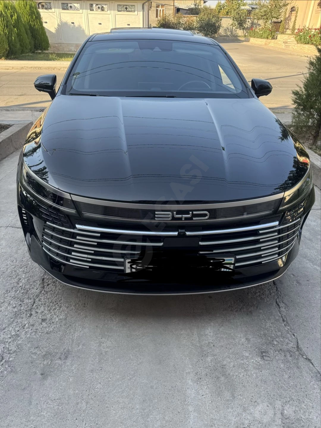 BYD chazor flagship Full - Cover Photo