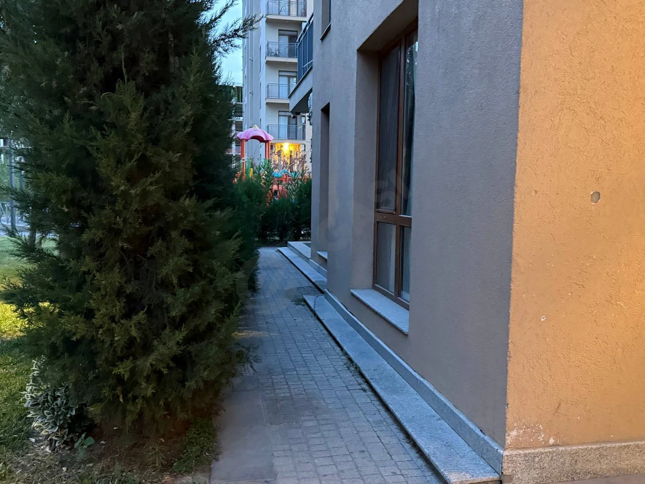 Image 5