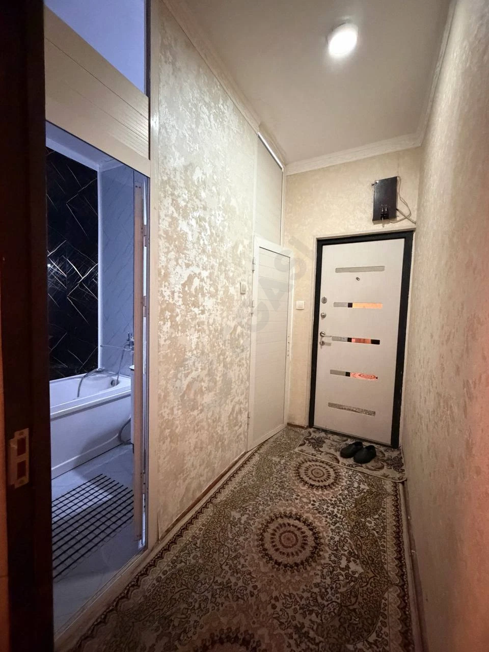 Image 6