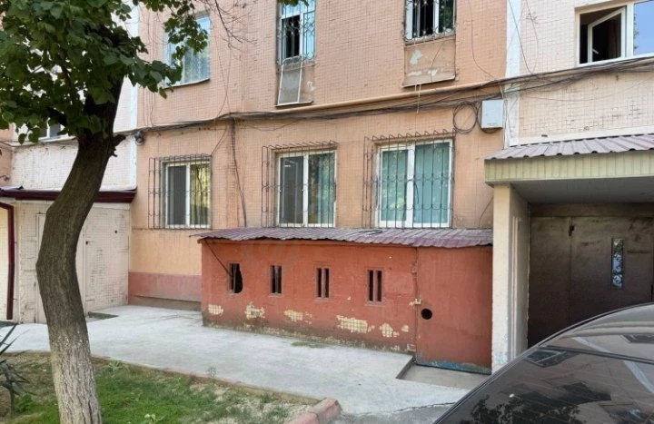 Image 6