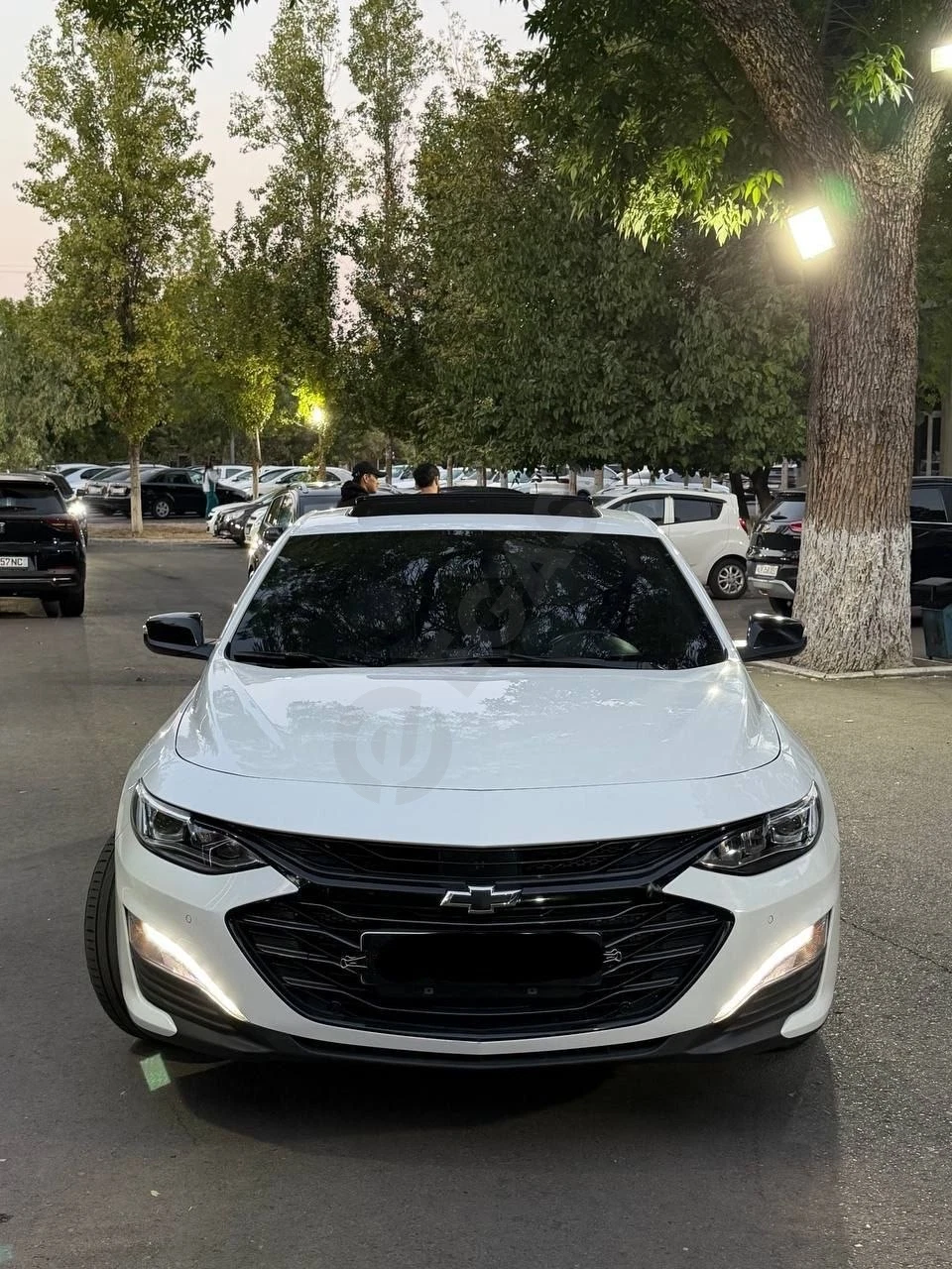 Chevrolet Malibu 2 2022 - Cover Photo
