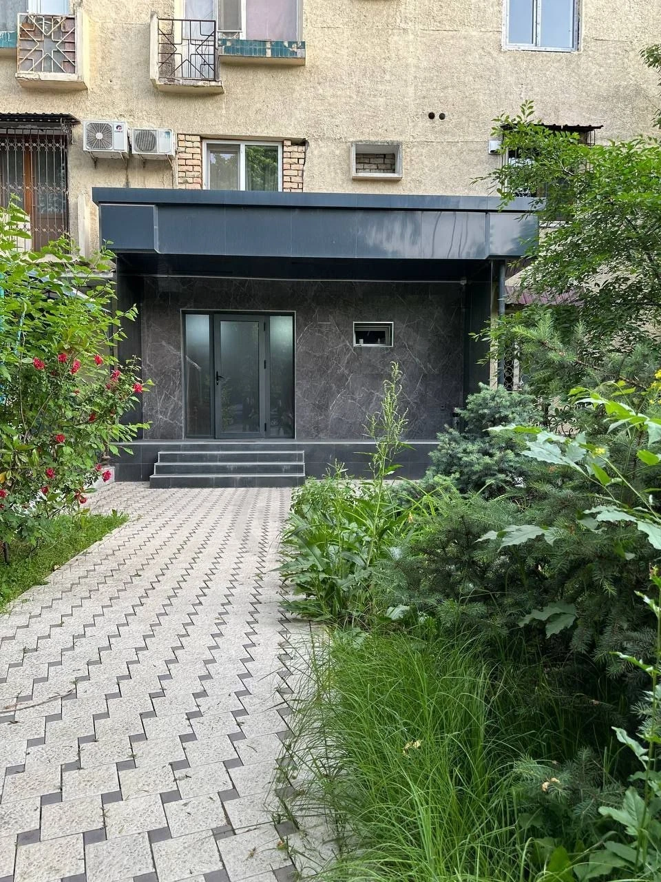 Image 6