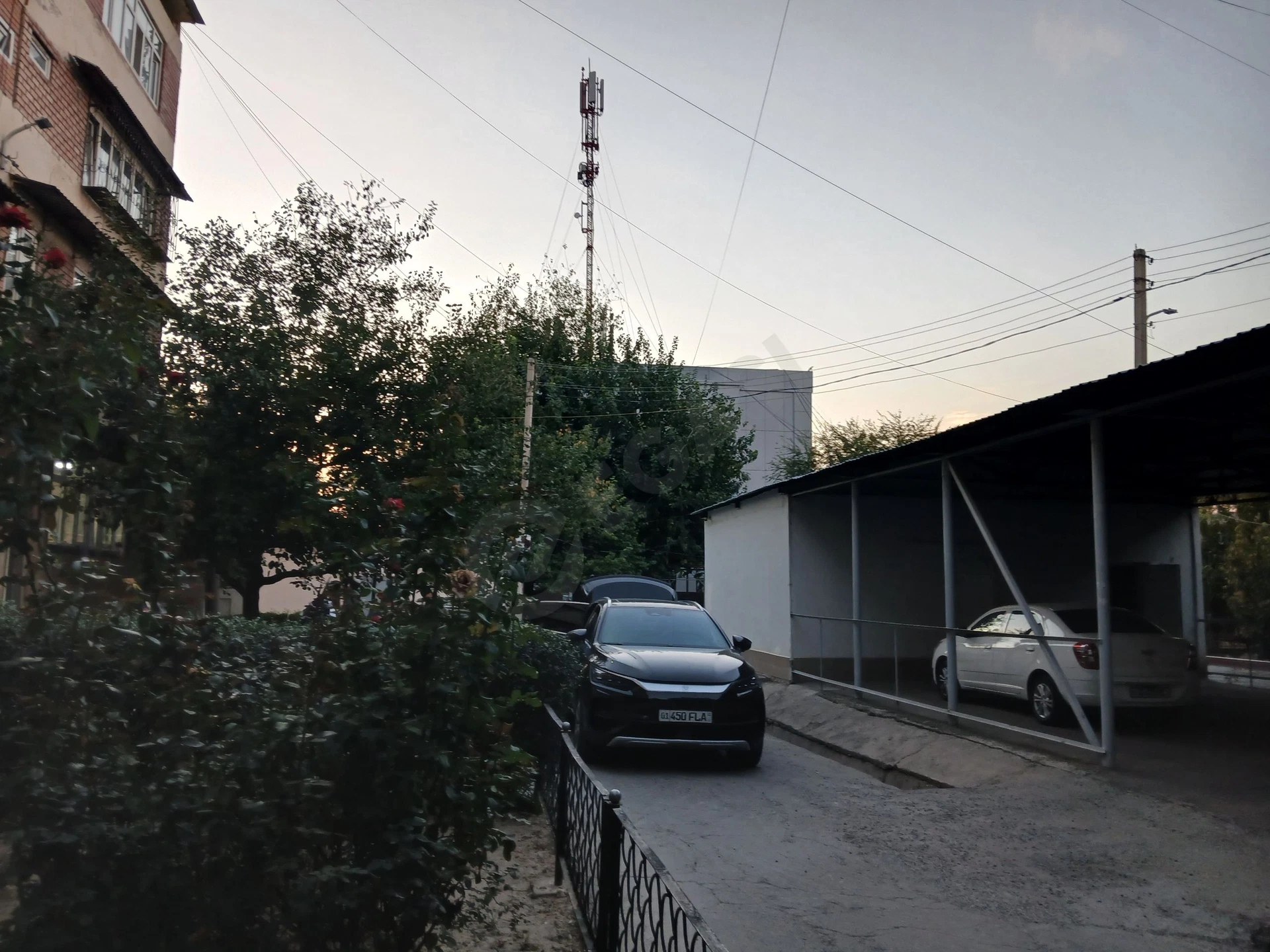 Image 2