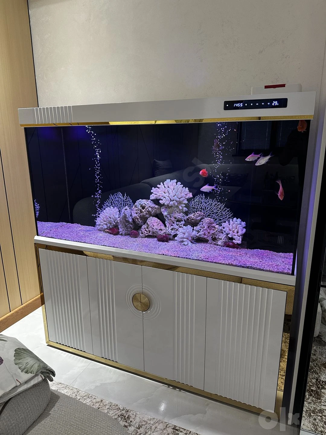 Аквариум премиум класса Aquashop - Cover Photo