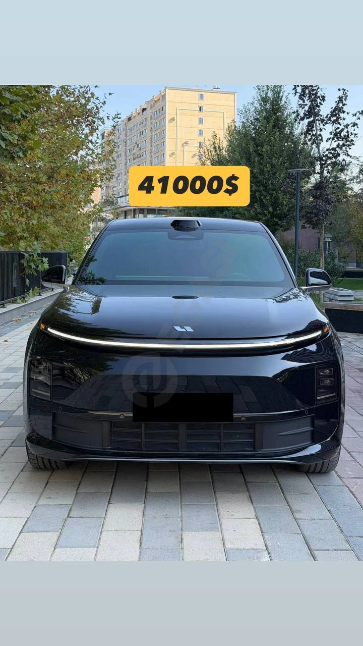 Li6 Max 2024 - Cover Photo