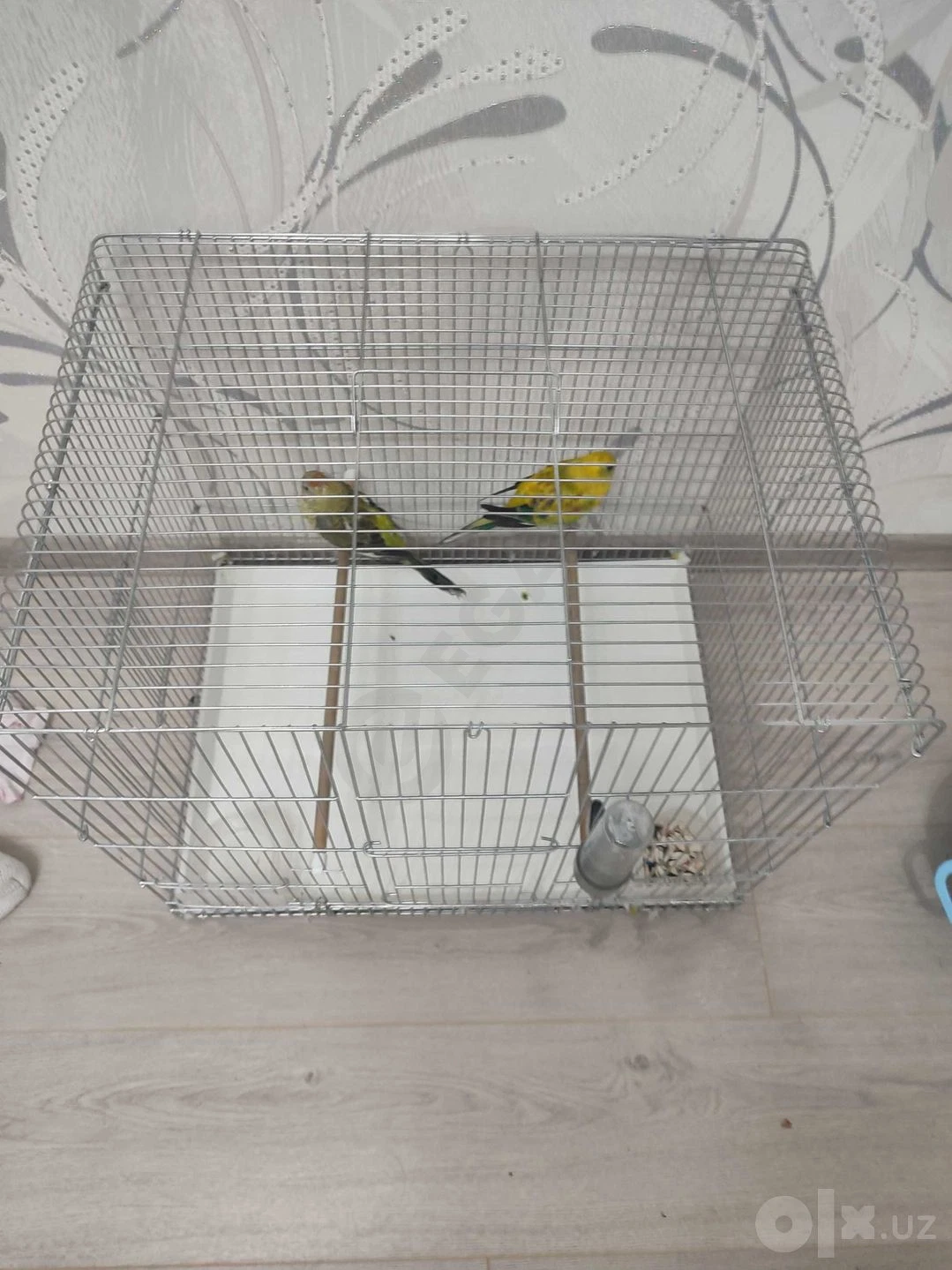 Image 2