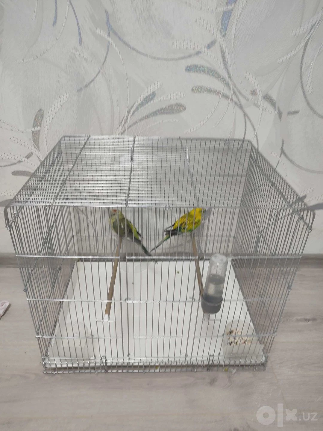 Image 4