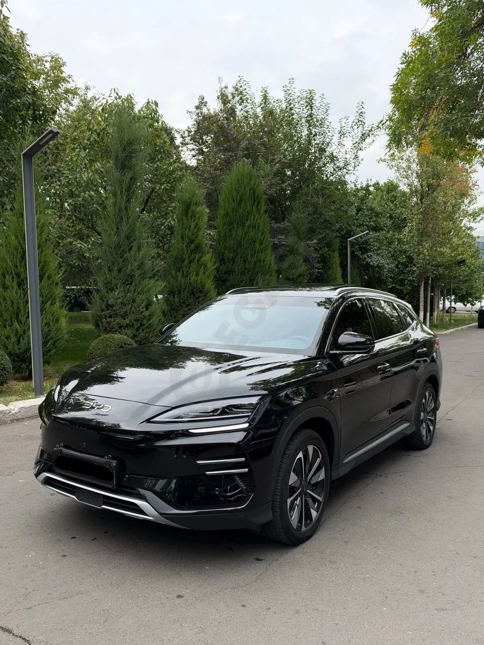 BYD Song Plus Champion 2025 - Cover Photo