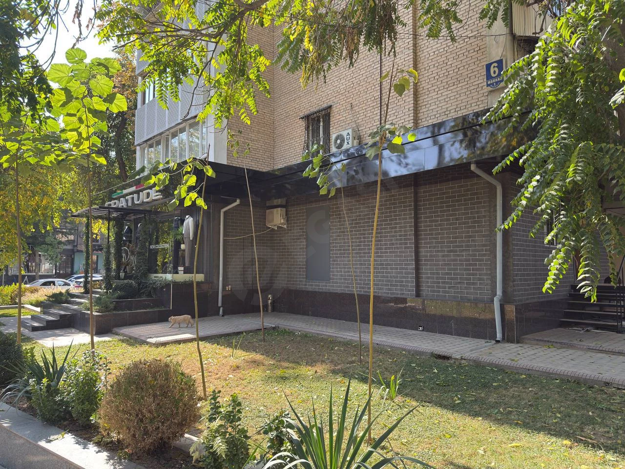 Image 3